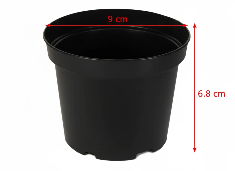 1d472ce9acbdc50028f029b2295d43ca.png
