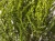fe7bc115877e2584490fd398311cace9.jpg
