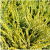 14279345efc69ed8895b95886d14a706.png